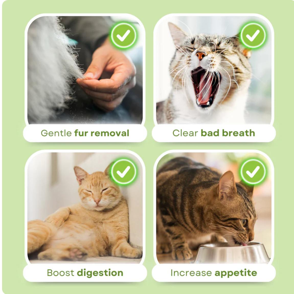 PurrSprout™ Natural Cat Grass Chew Sticks