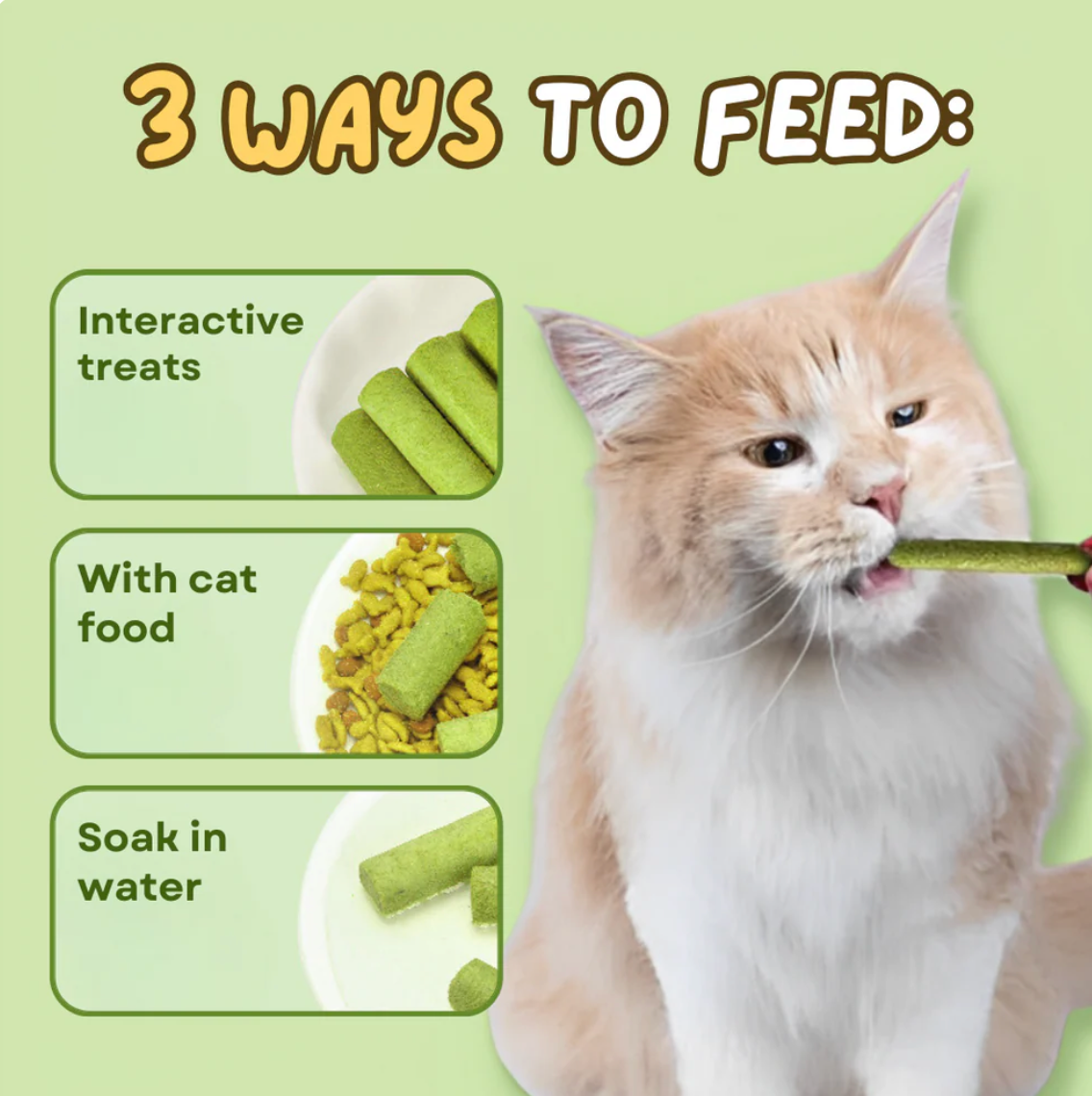 PurrSprout™ Natural Cat Grass Chew Sticks
