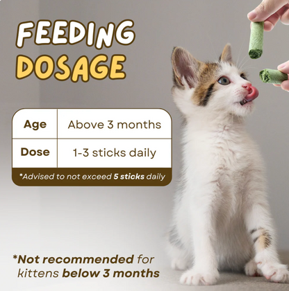 PurrSprout™ Natural Cat Grass Chew Sticks
